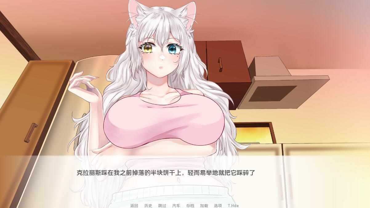 [SLG/汉化] 猫女 涅槃米糠 Nezumicon-v0.1.14 汉化版 [1G/]